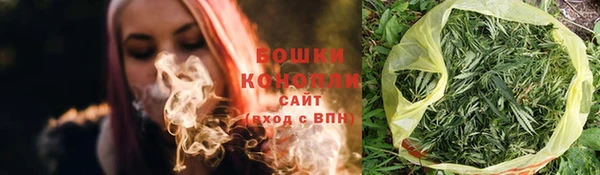 трава Гусиноозёрск