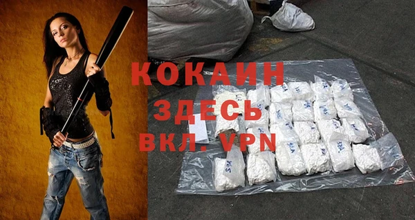 крисы Гусев
