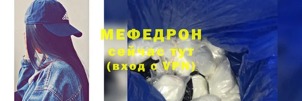 трава Гусиноозёрск