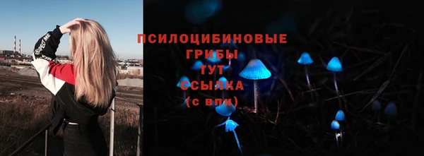 крисы Гусев