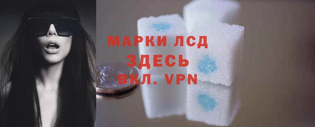 крисы Гусев