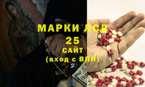 трава Гусиноозёрск