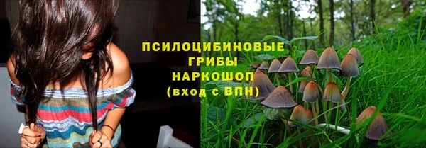 бошки Гусь-Хрустальный