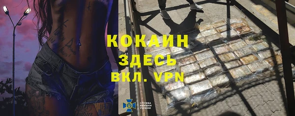 трава Гусиноозёрск
