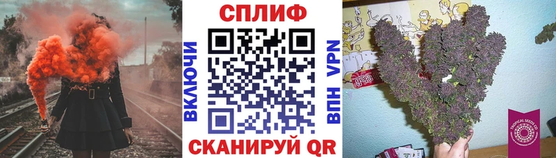 Марихуана сатива  Купить где  Реж 